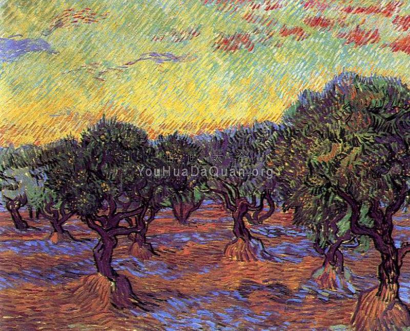 橄榄园 - 文森特·威廉·梵高